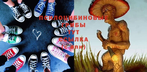 амф Абинск